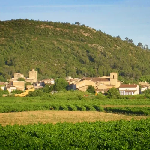 Correns | Villa Handrès | Villa à louer en Provence