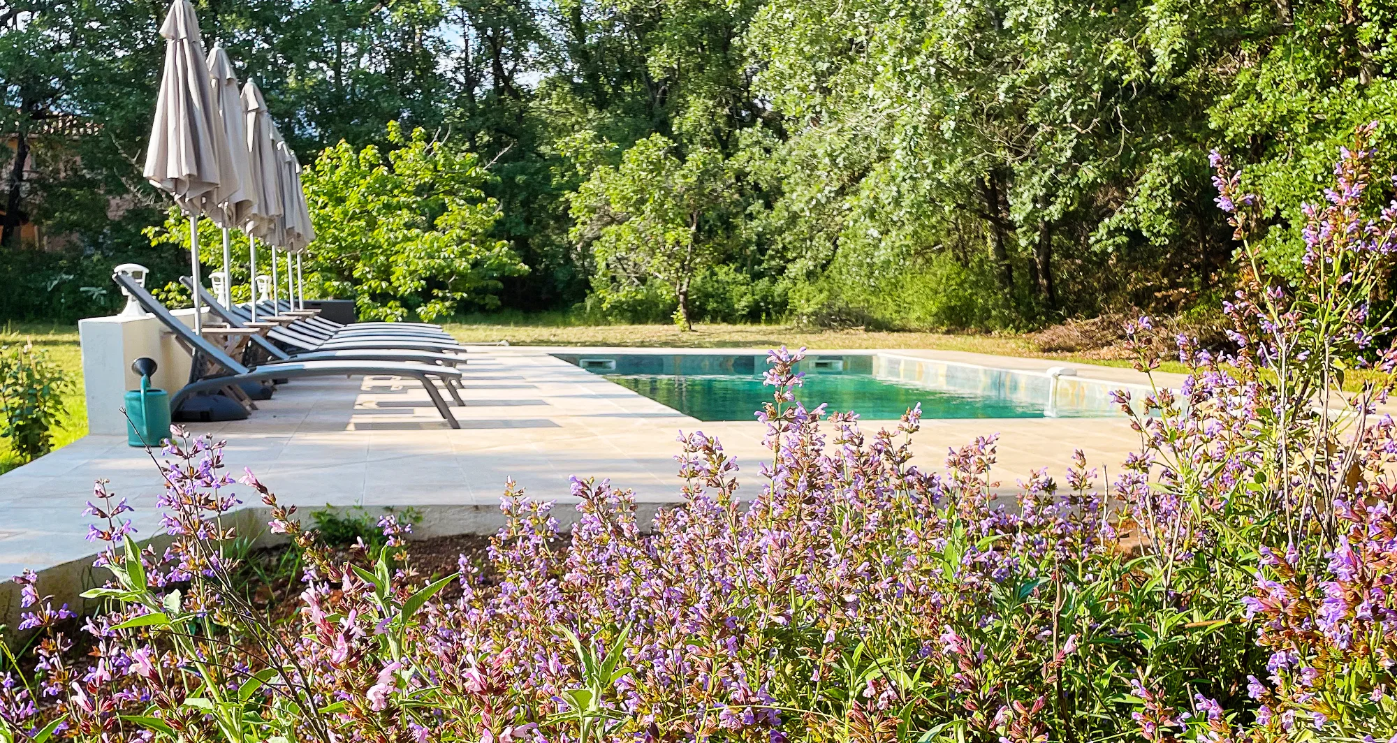 La piscine | Villa Handrès | Villa à louer en Provence -15