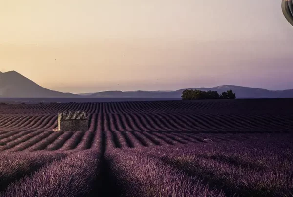 Tourisme en Provence | Villa Handrès -99