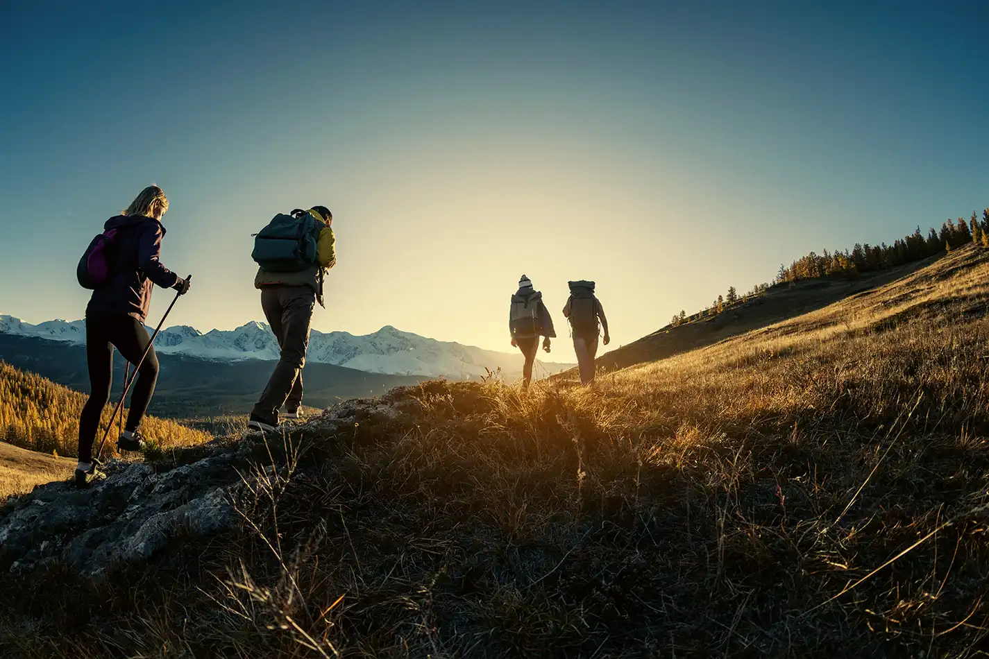 Les 10 plus belles randonnées pédestres du Parc Naturel de la Sainte-Baume