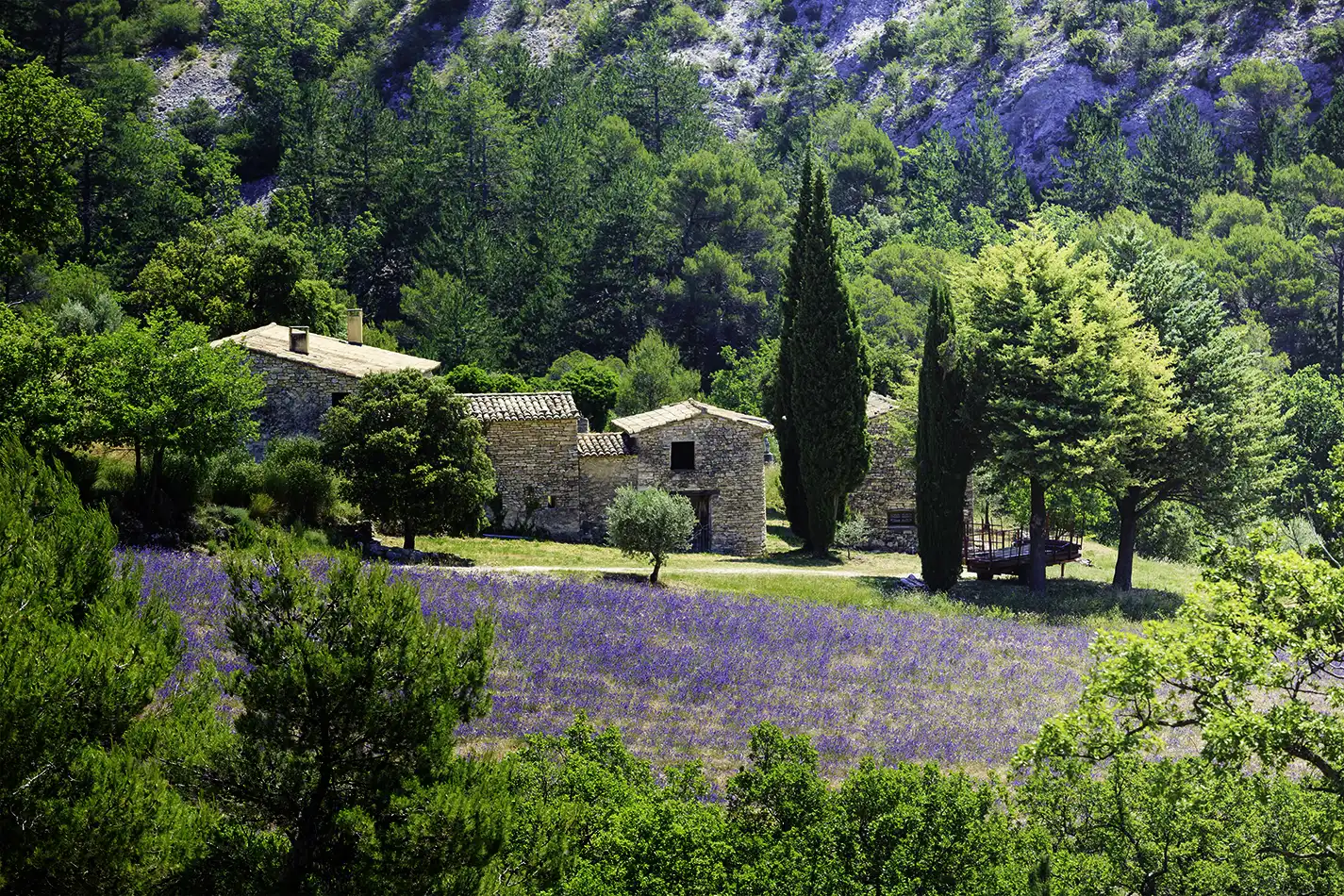 40 lieux à visiter en Provence verte | Villa Handrès | Villa à louer en Provence
