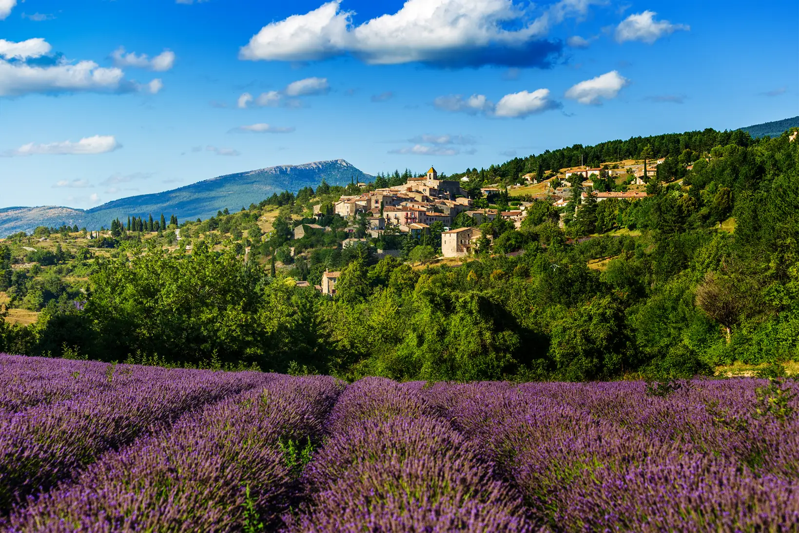 Vacances en Provence | Villa Handrès