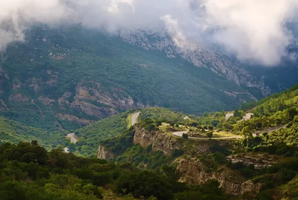 Parc Naturel de la Sainte Baume | Provence | VIlla Handrès