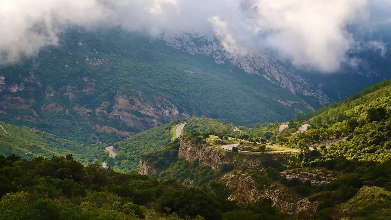 Parc naturel de la Sainte Baume : un écrin de au coeur de la Provence