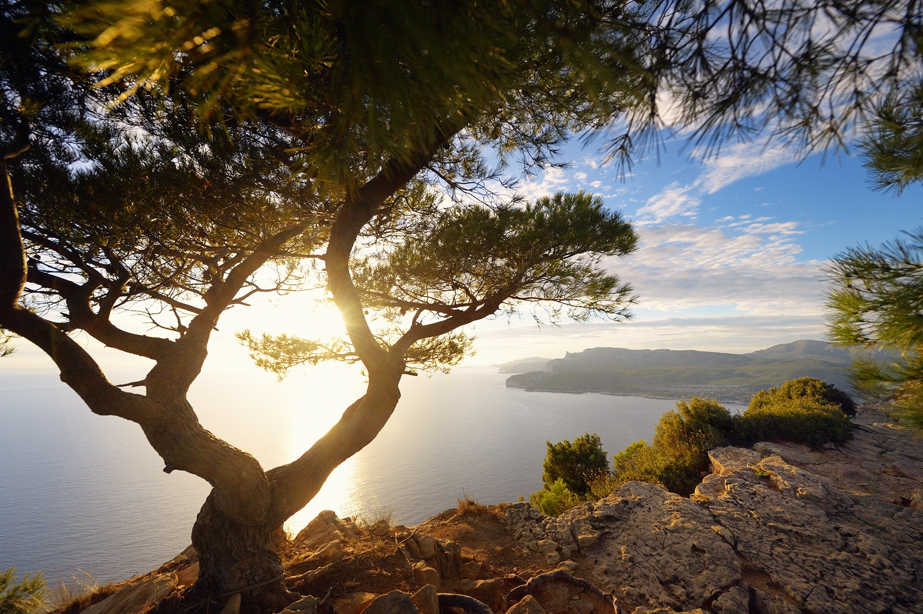 Vacances en Provence Verte, paysage des Calanques de Cassis, près de la Villa Handrès