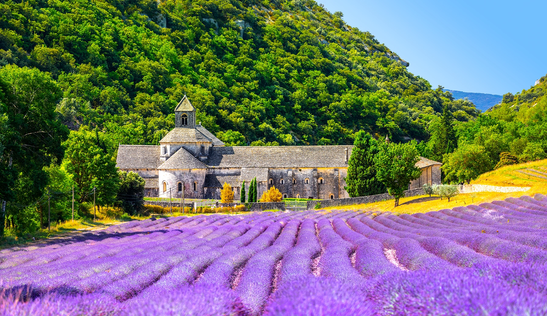 Vacances en Provence Verte, paysage de l'Abbaye de Sénanques près de la Villa Handrès